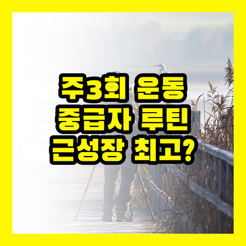 주 3회 운동 계획표: 중급자 근성장을 위한 최고의 선택?