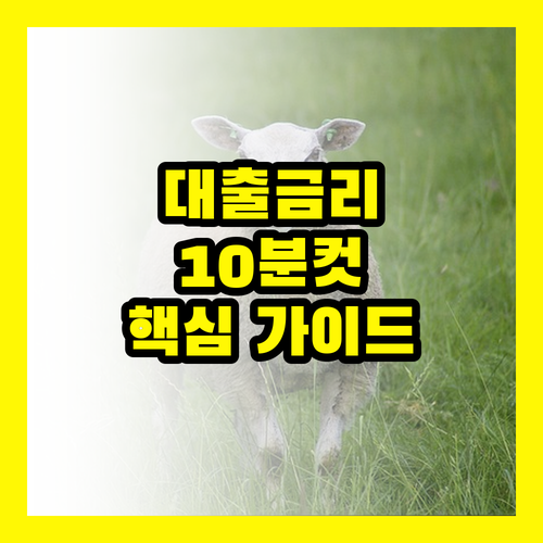 대출 금리 유형, 10분 안에 끝내기! 핵심만 짚어주는 선택 가이드