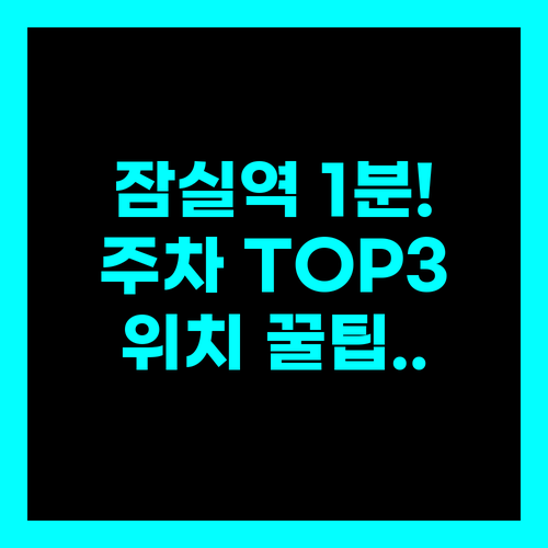 송파구 장애인 전용 주차장 잠실역 도보 1분 거점 TOP 3..위치 확인법